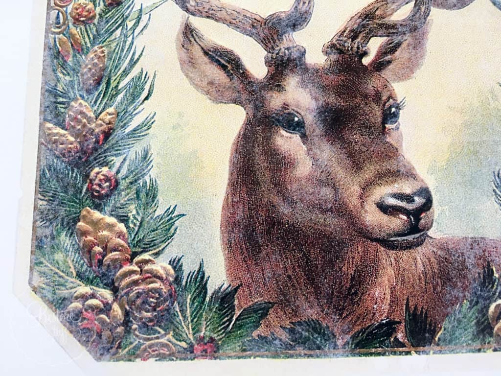 christmas-deer-0654