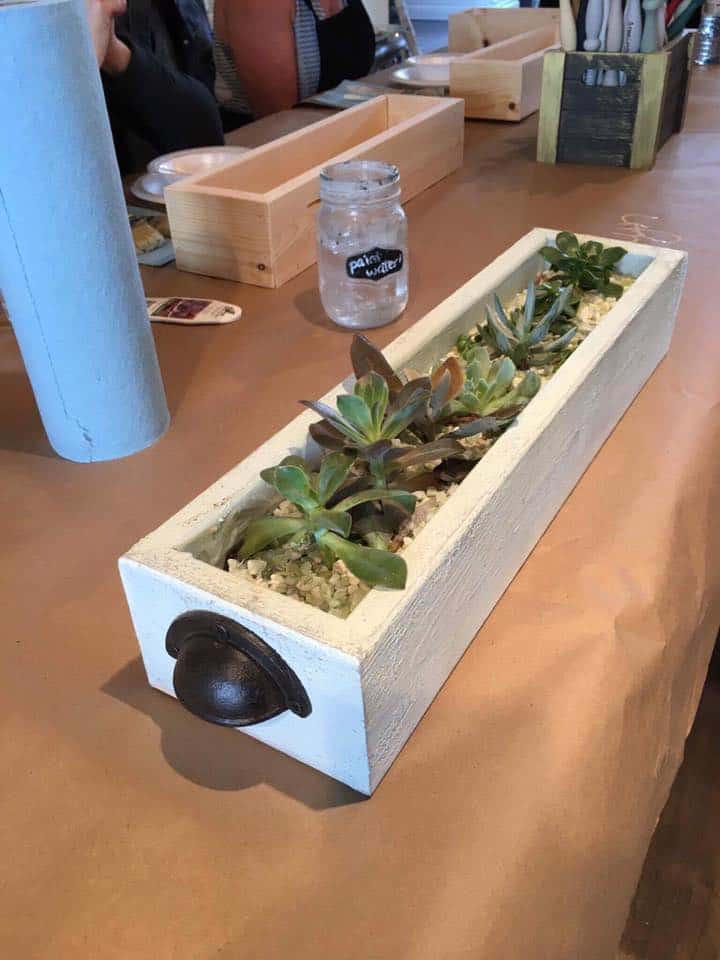 Succulent planter box