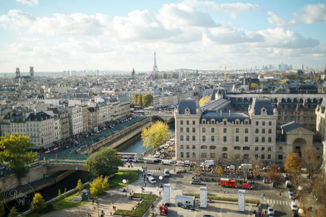 view from bell tower Notre Dame