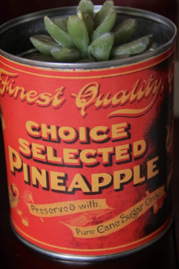 Choice Selected Pineapple can label