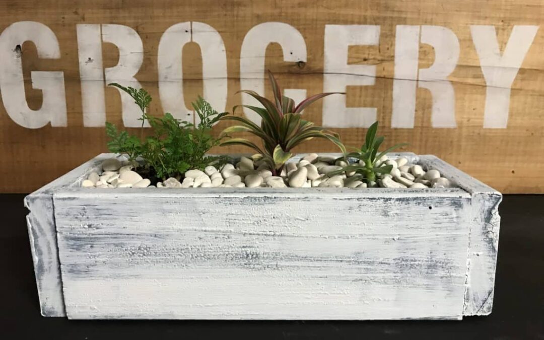 Mini Planter Box Table Decor Idea