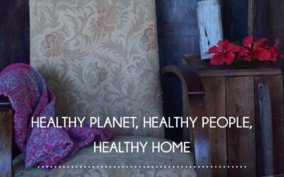 Healthy Planet, Healthy People, Healthy Home – Meet Helen Edwards