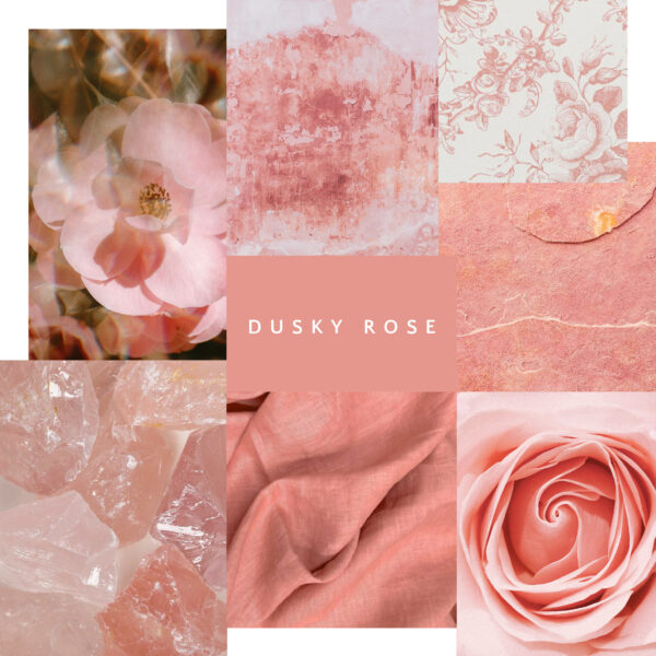 Dusky Rose