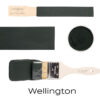 wellington fusion paint