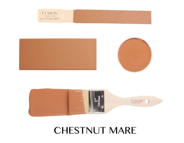 chestnut mare swatch